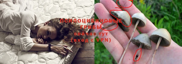 гидропоника Зеленокумск